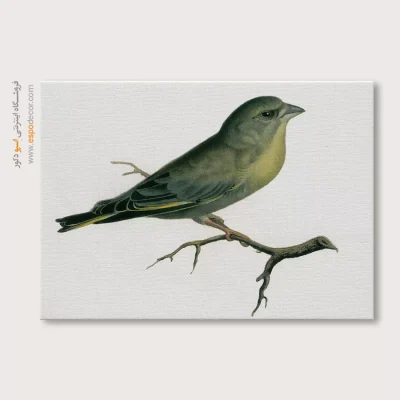 تابلو نقاشی های کمال الملک - اسپو دکور