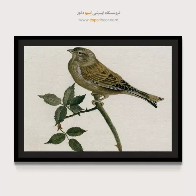 تابلو نقاشی های کمال الملک - اسپو دکور