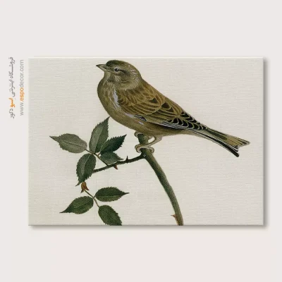 تابلو نقاشی های کمال الملک - اسپو دکور