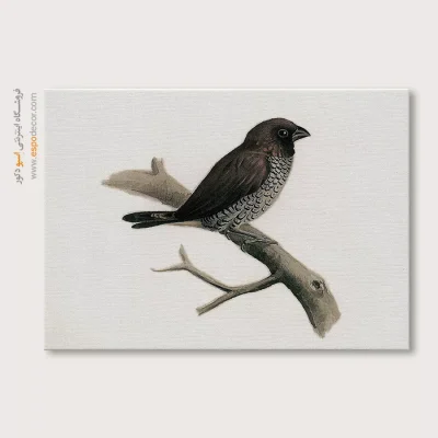 تابلو نقاشی های کمال الملک - اسپو دکور