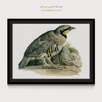 تابلو نقاشی های کمال الملک - اسپو دکور