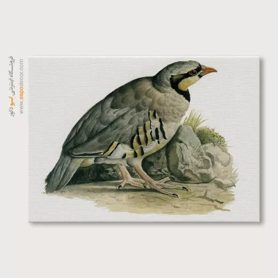 تابلو نقاشی های کمال الملک - اسپو دکور