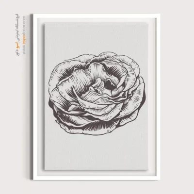 تابلو بوم طرح پرتره خطی زن - غریب – تابلو طراحی خطی - اسپو دکور