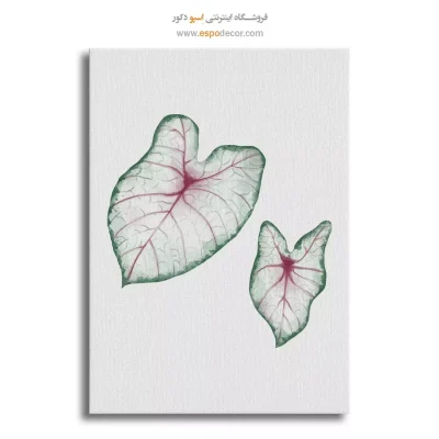 تابلو بوم طرح پرتره خطی زن