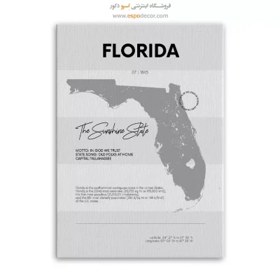 خرید تابلو دکوراتیو فلوریدا