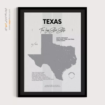تابلو نقشه مدرن تگزاس - تگزاس – تابلو نقشه شهرهای جهان - اسپو دکور