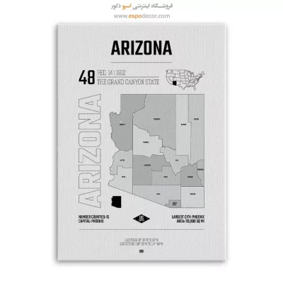 تابلو نقشه دکوراتیو آریزونا