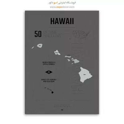 تابلو نقشه شهر هاوایی