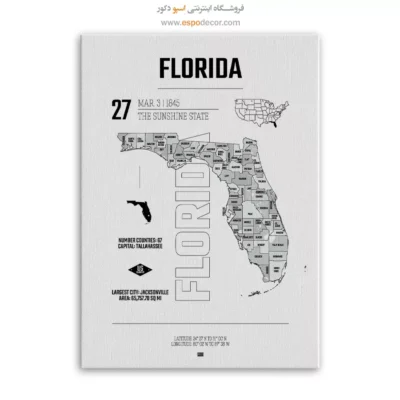 تابلو نقشه دکوراتیو فلوریدا - فلوریدا – تابلو نقشه شهرهای جهان - اسپو دکور
