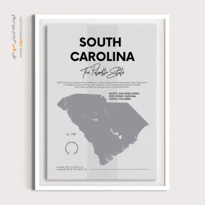 تابلو نقشه شهر کارولینا جنوبی - کارولینا جنوبی – تابلو نقشه شهرهای جهان - اسپو دکور