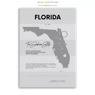 خرید تابلو دکوراتیو فلوریدا - فلوریدا – تابلو نقشه شهرهای جهان - اسپو دکور