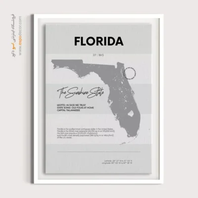 خرید تابلو دکوراتیو فلوریدا - فلوریدا – تابلو نقشه شهرهای جهان - اسپو دکور