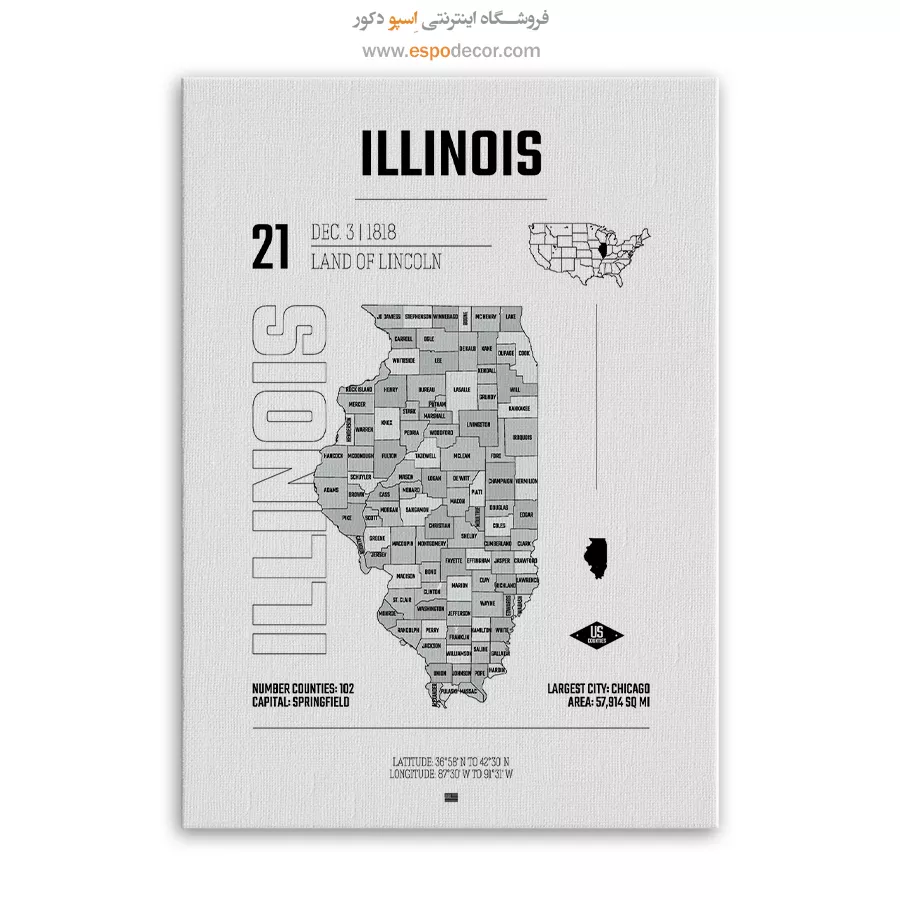 تابلو هنری نقشه ایلینویز - ایلینویز – تابلو نقشه شهرهای جهان - اسپو دکور