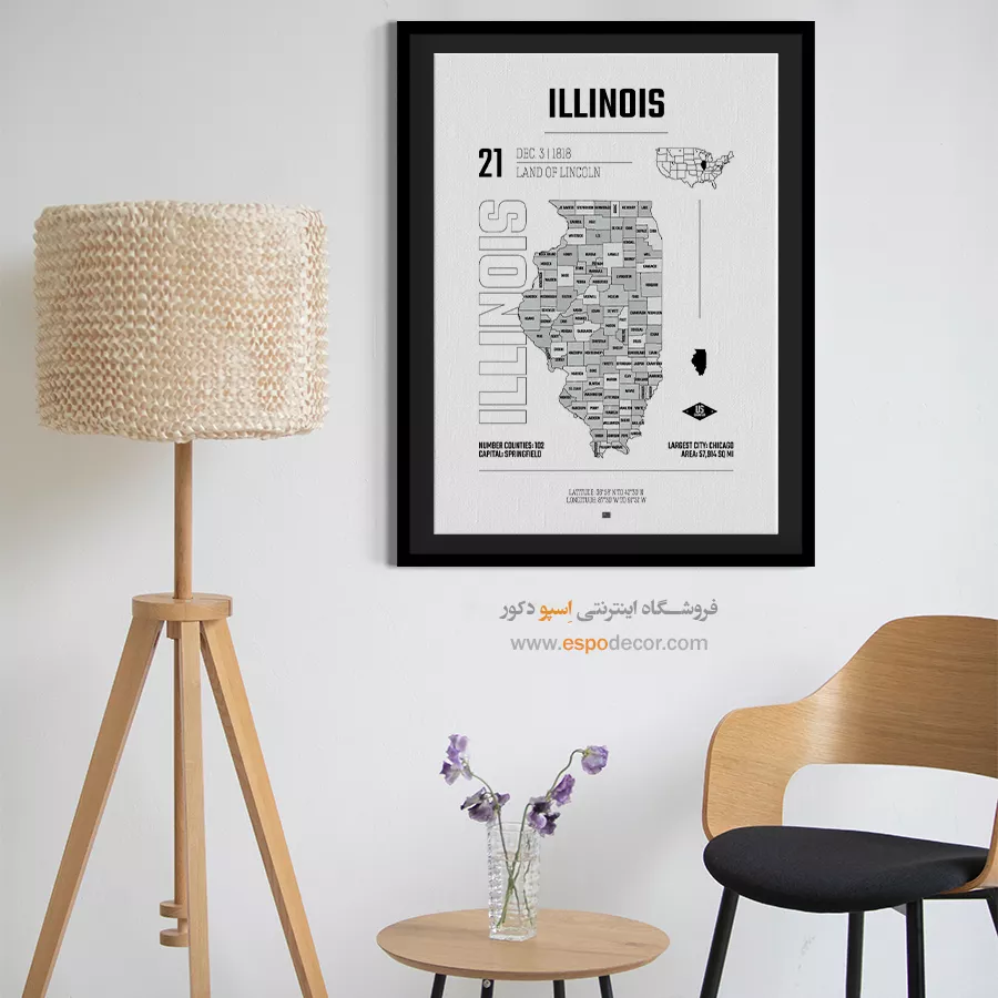 تابلو هنری نقشه ایلینویز - ایلینویز – تابلو نقشه شهرهای جهان - اسپو دکور