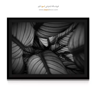 تابلو نقاشی چهره