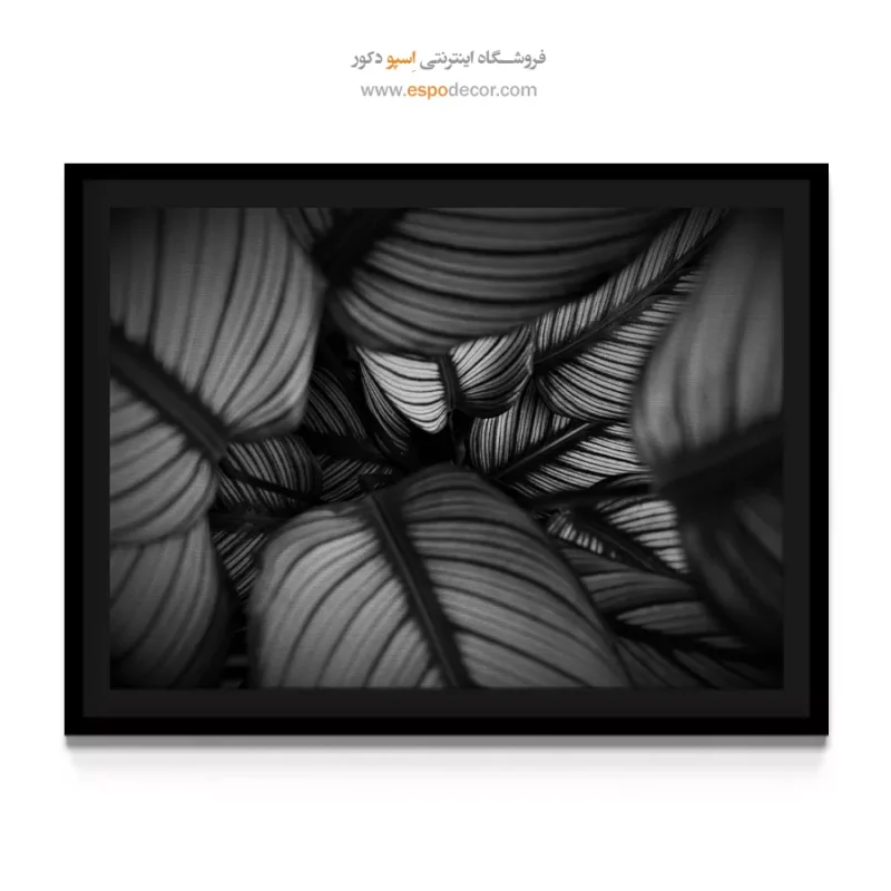 تابلو نقاشی چهره