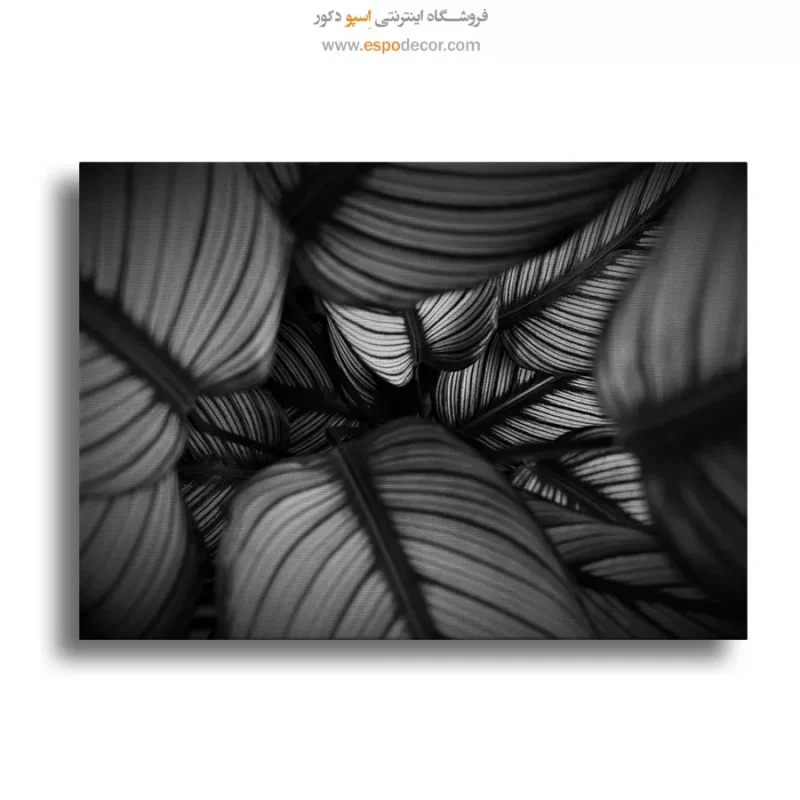 تابلو نقاشی چهره