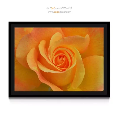 خرید تابلو خانه - پژواک رنگین – تابلو مدرن - اسپو دکور