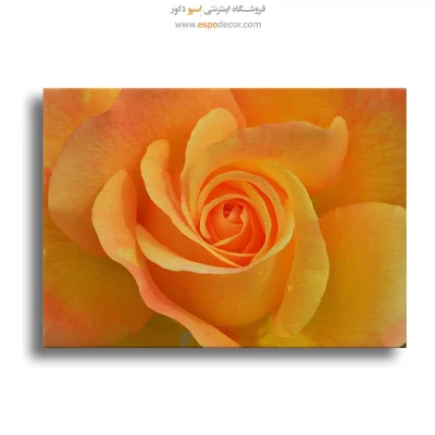 خرید تابلو خانه