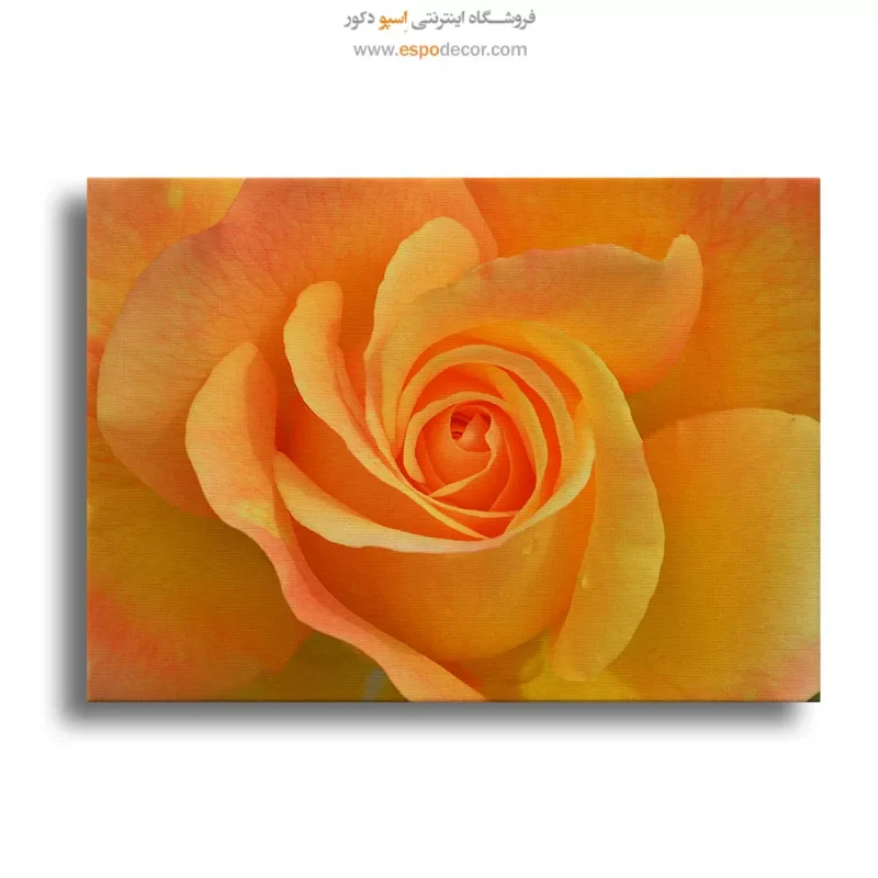 خرید تابلو خانه