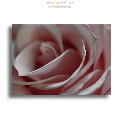 خرید تابلو راهرو