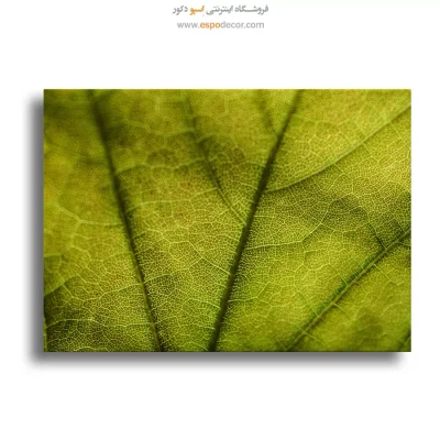 تابلو چاپی هدیه روز پدر