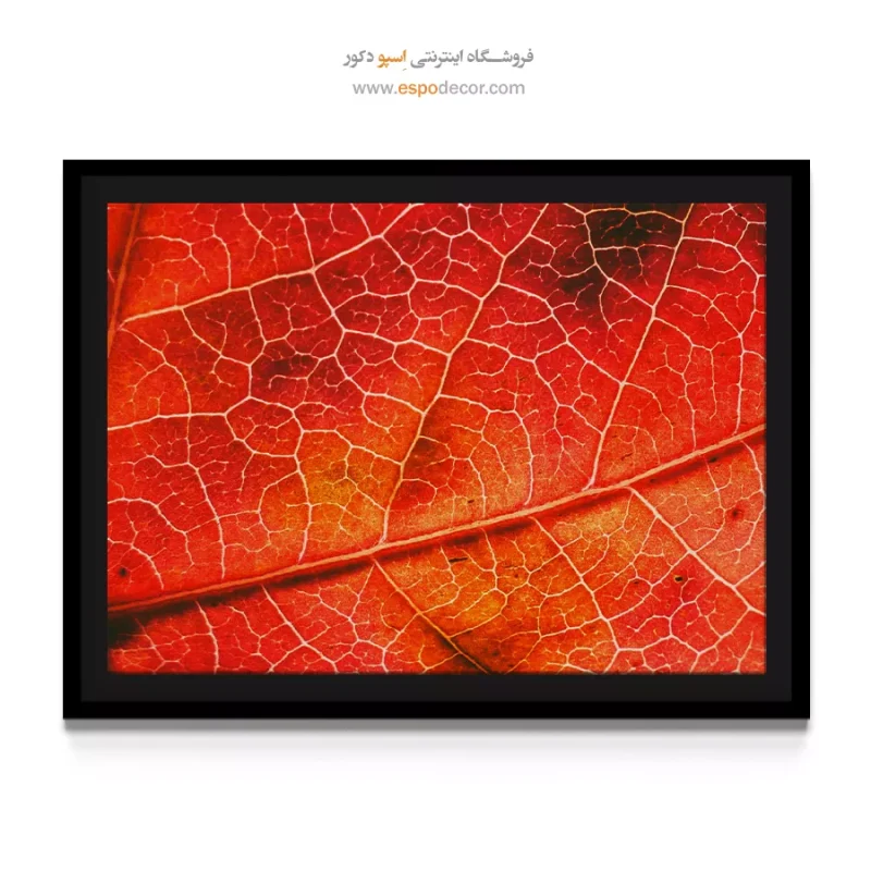 تابلو چاپی تزئین دیوار