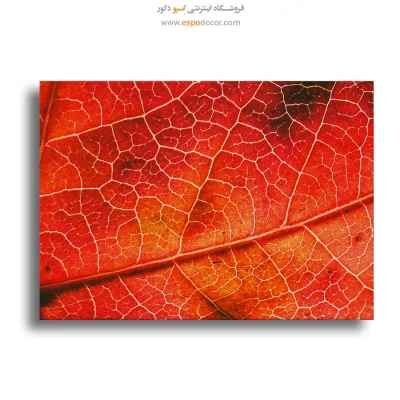 تابلو چاپی تزئین دیوار
