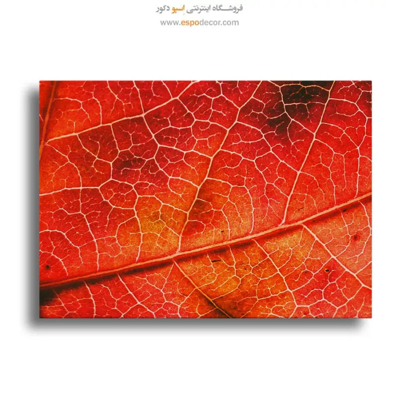 تابلو چاپی تزئین دیوار
