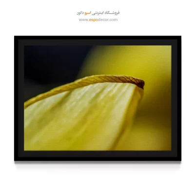 خرید تابلو دکوراسیون داخلی