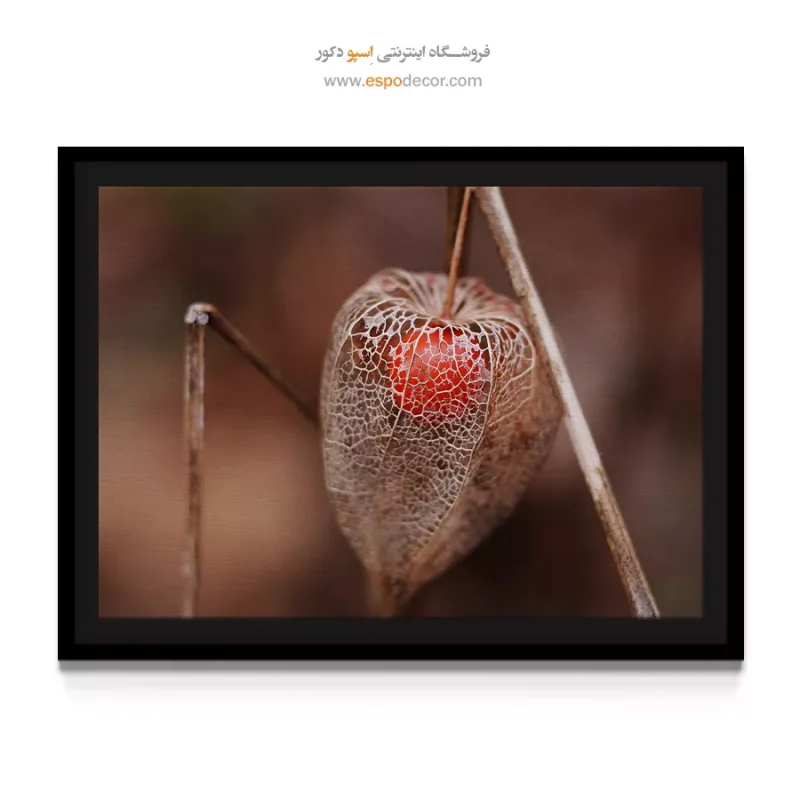 تابلو دکوراتیو سالن پذیرایی