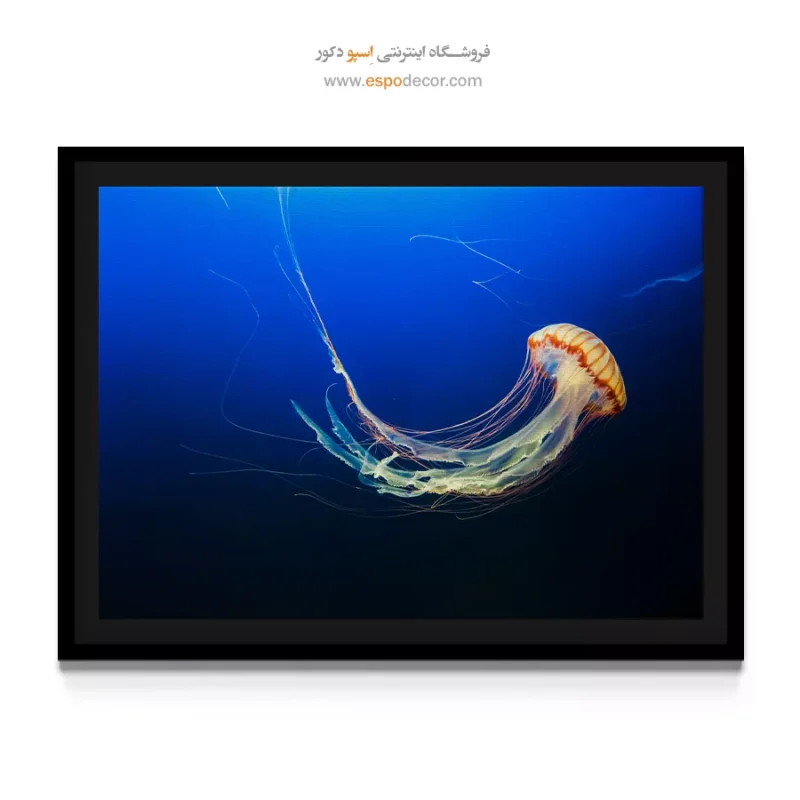 تابلو نقاشی مدرن