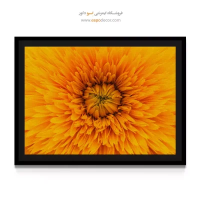 تابلو مدرن هدیه خاص - تماشا محو – تابلو مدرن - اسپو دکور