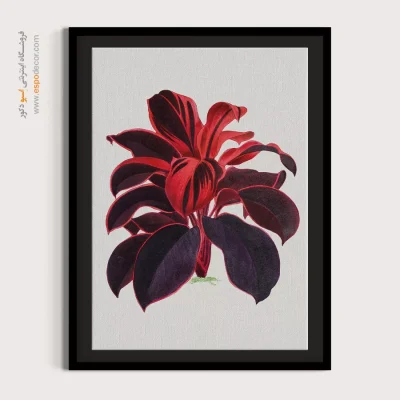 تابلو مدرن - اسپو دکور