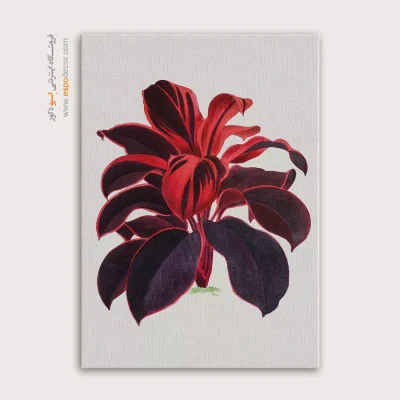 تابلو مدرن - اسپو دکور