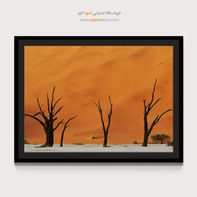 تابلو طبیعت کویری