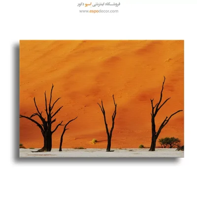 تابلو طبیعت