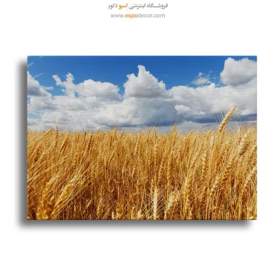 تابلو طبیعت