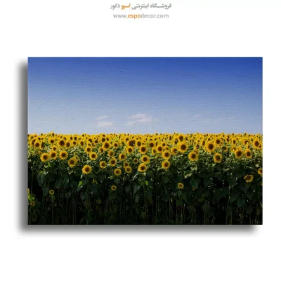 تابلو طبیعت