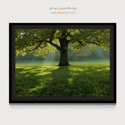 خرید تابلو منظره برای دکوراسیون منزل