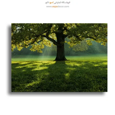 تابلو طبیعت