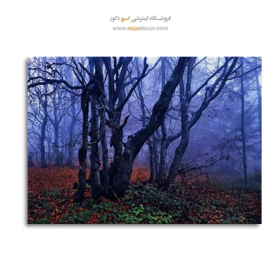 خرید تابلو جنگل مه آلود