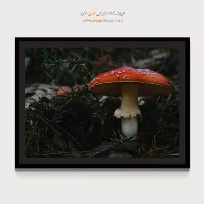 خرید تابلو تصویر جنگل