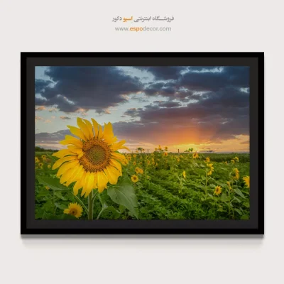 خرید تابلو طبیعت خیال‌انگیز
