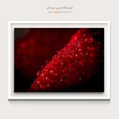 خرید تابلو عکاسی طبیعت