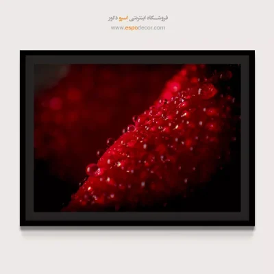 خرید تابلو عکاسی طبیعت