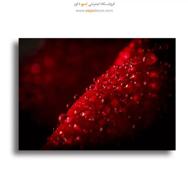 خرید تابلو عکاسی طبیعت