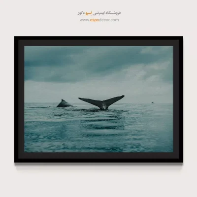 خرید تابلو شگفتی‌های طبیعت