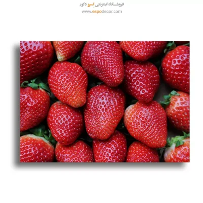 تابلو طبیعت