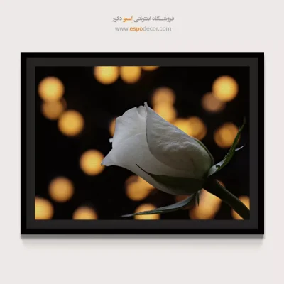 تابلو طبیعت مدرن برای پذیرایی